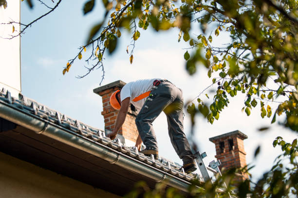 Best New Roof Installation  in Bad Axe, MI