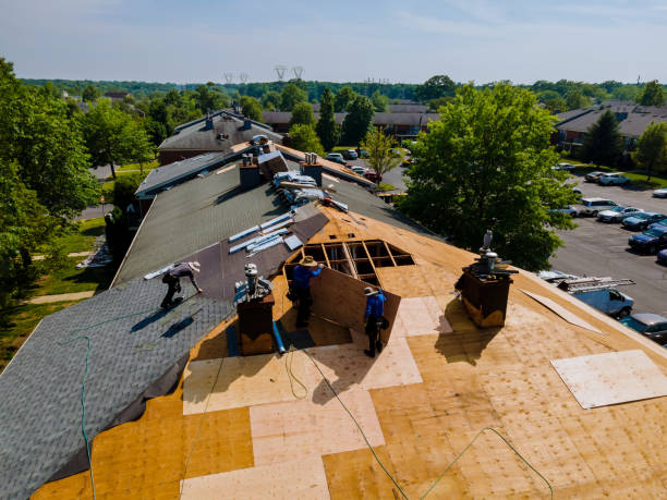 Best Residential Roofing Contractor  in Bad Axe, MI