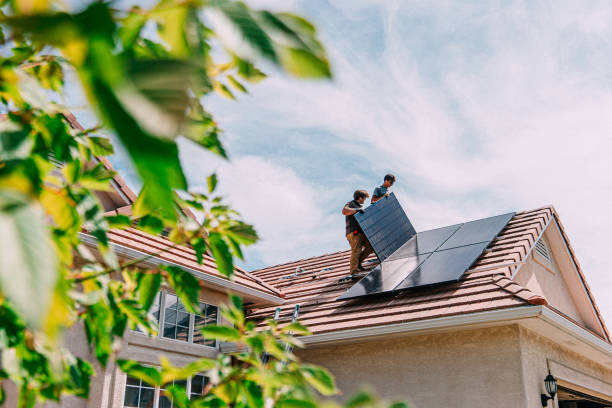 Best Roof Gutter Cleaning  in Bad Axe, MI