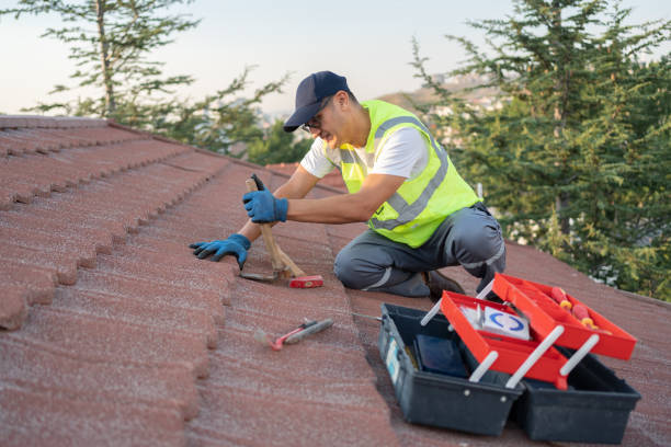 Best Roof Maintenance Services  in Bad Axe, MI