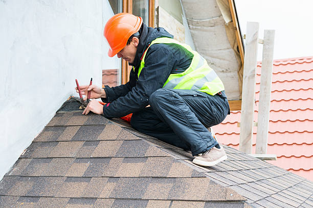 Best Storm Damage Roof Repair  in Bad Axe, MI