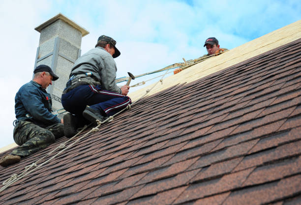 Best New Roof Installation  in Bad Axe, MI