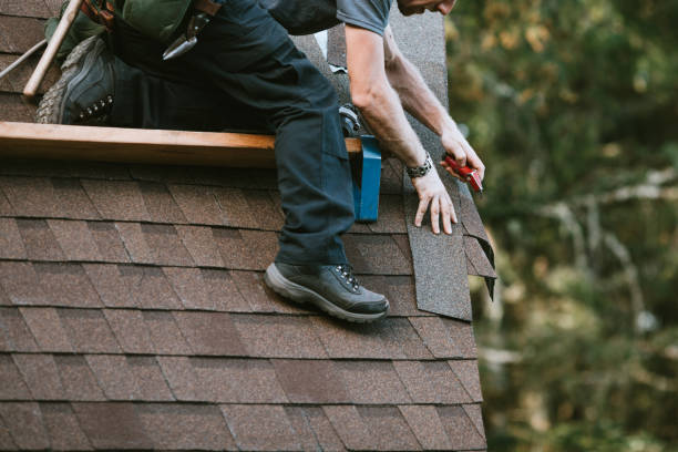 Best Roof Repair Services  in Bad Axe, MI